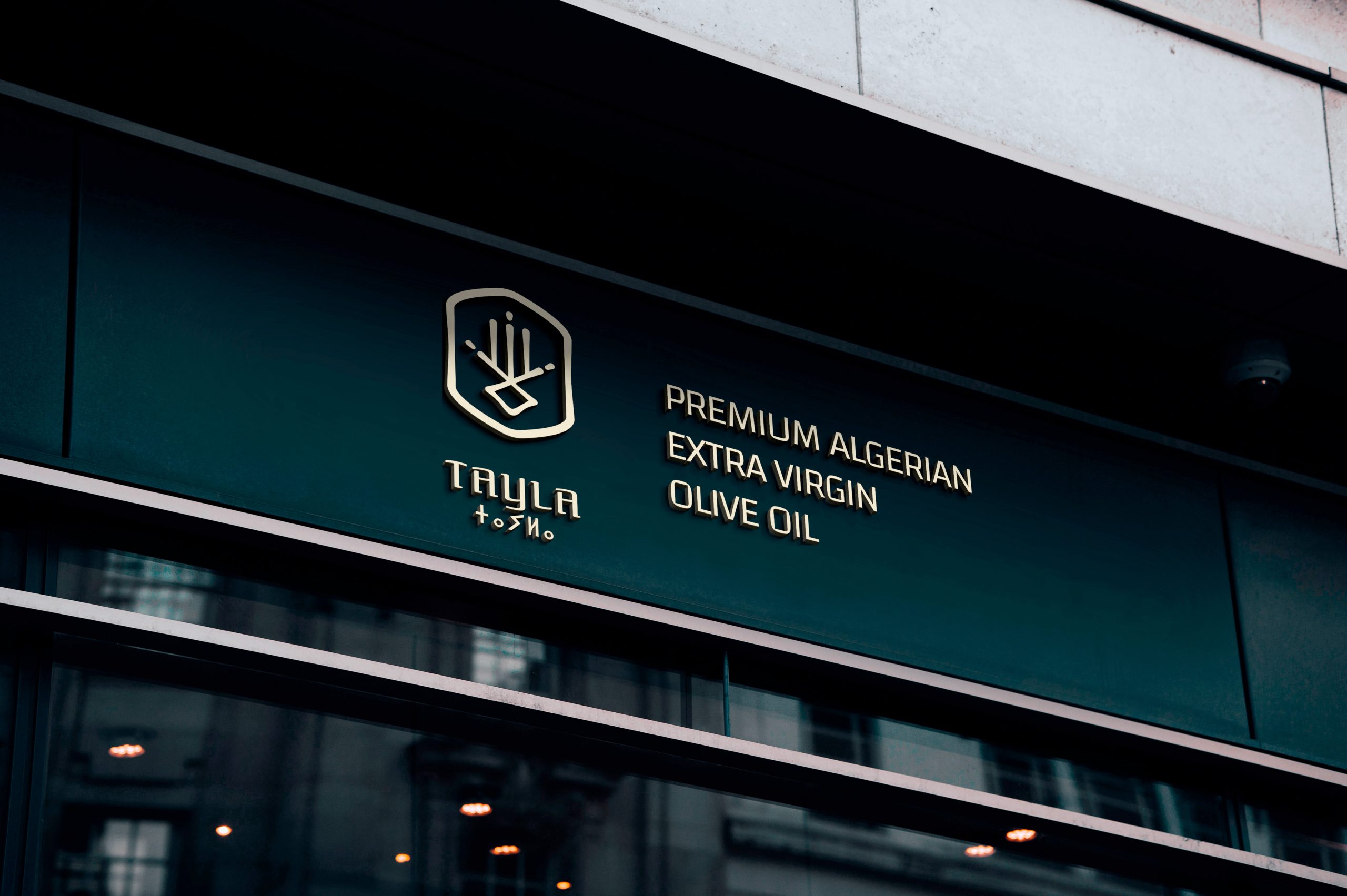 Logofolio-Tayla-Store